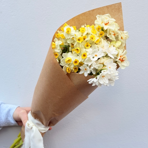 An Abundance of Daffodils